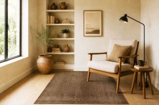 Vintage brown monochrome rug in a bright, minimalist interior